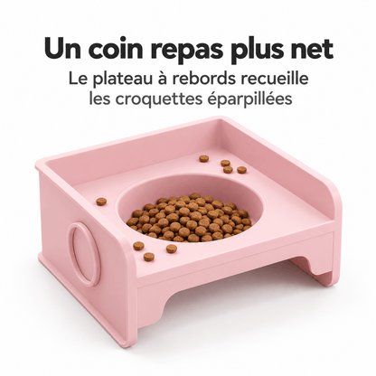 Gamelle Chat - ModuloRepas