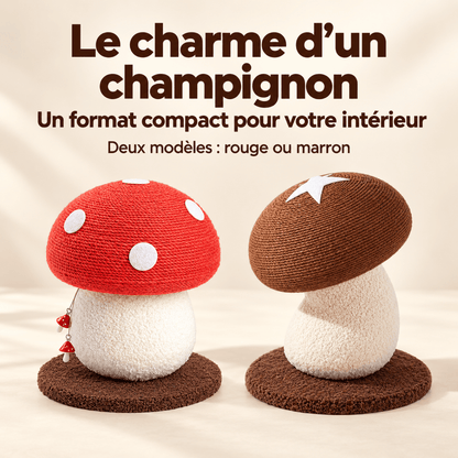 Griffoir Chat Champignon – ChampiGriffe