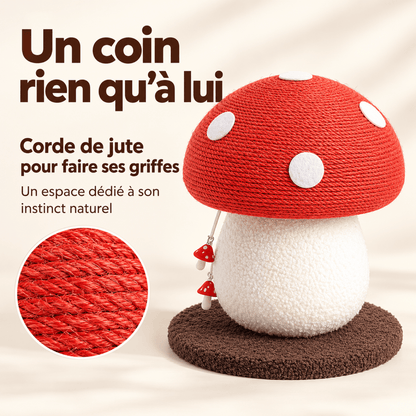 Griffoir Chat Champignon – ChampiGriffe