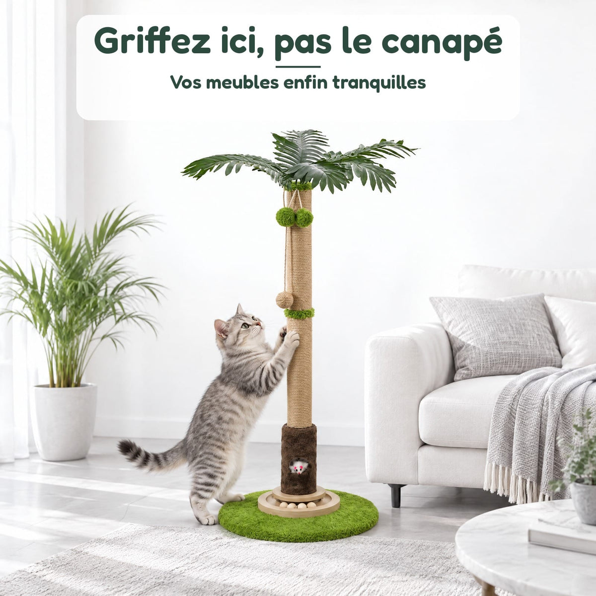 Griffoir Chat Palmier Oasis