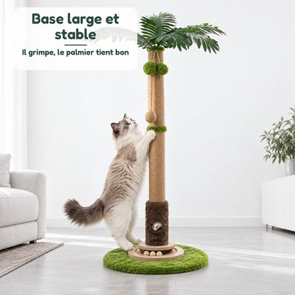 Griffoir Chat Palmier Oasis