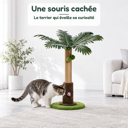 Griffoir Chat Palmier Oasis