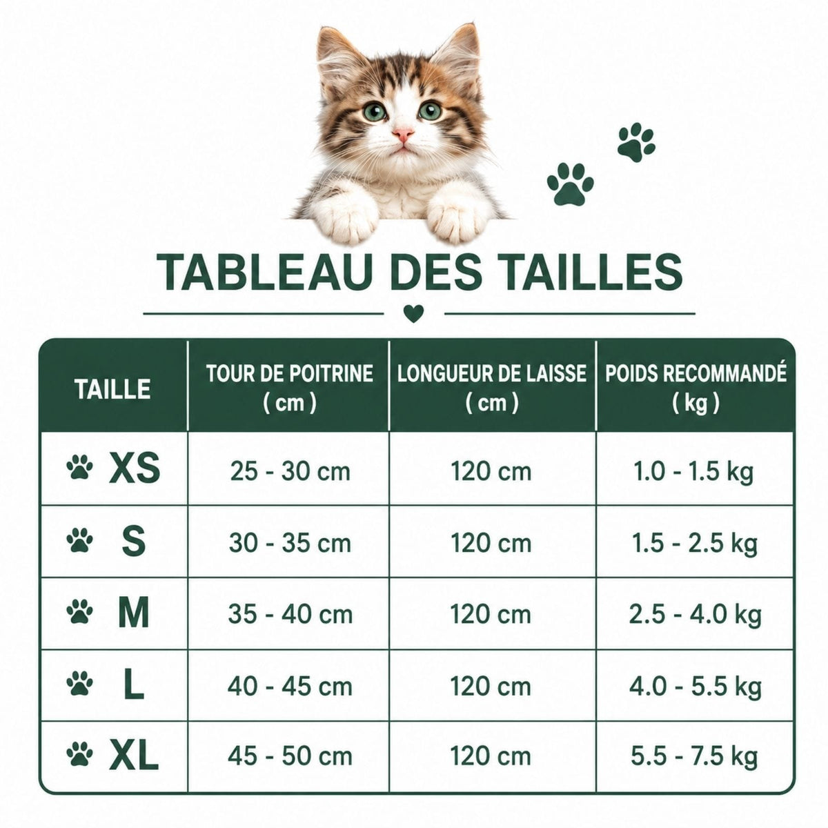 Harnais Chat Anti-Traction Respirant et confort