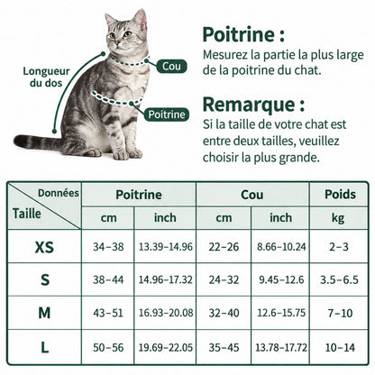 Harnais Chat Respirant