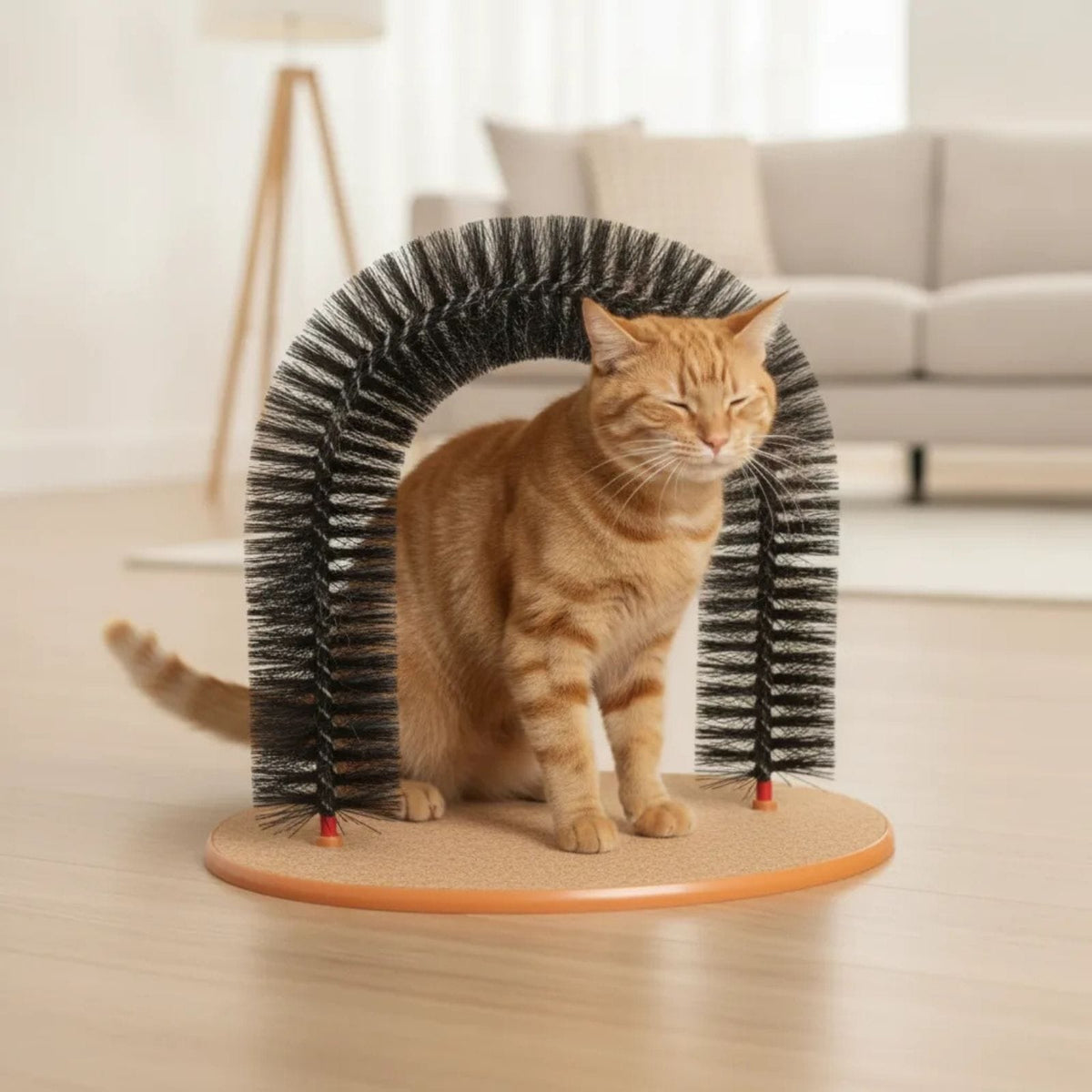 Jouet Chat Arche Brossant