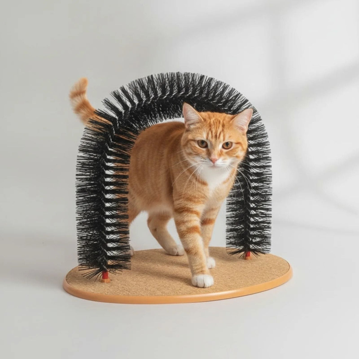 Jouet Chat Arche Brossant