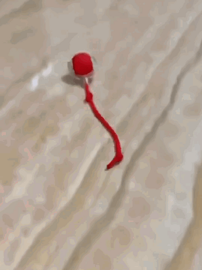 Jouet Chat Balle Interactive Automatique