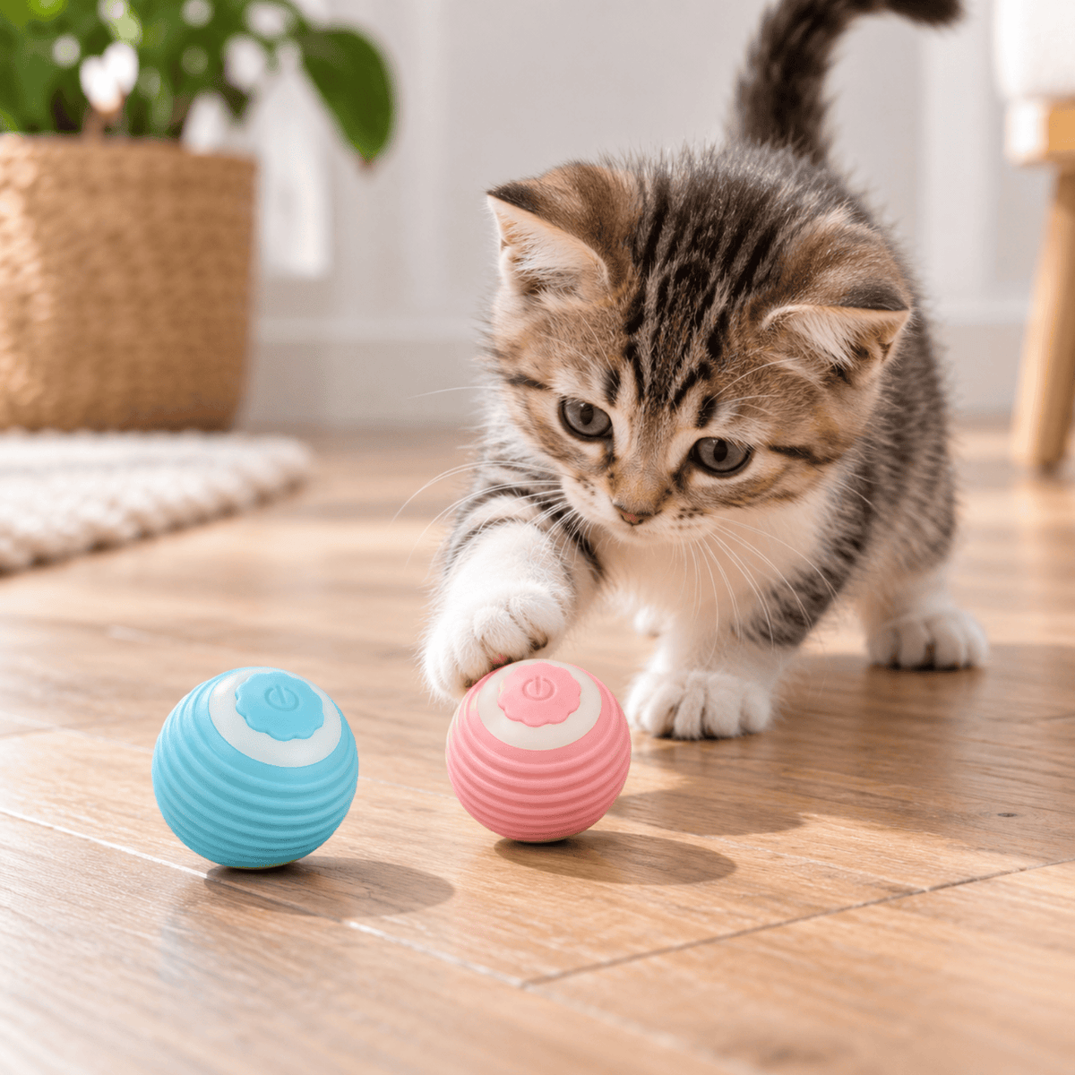Jouet Chat Balle Magique Interactive