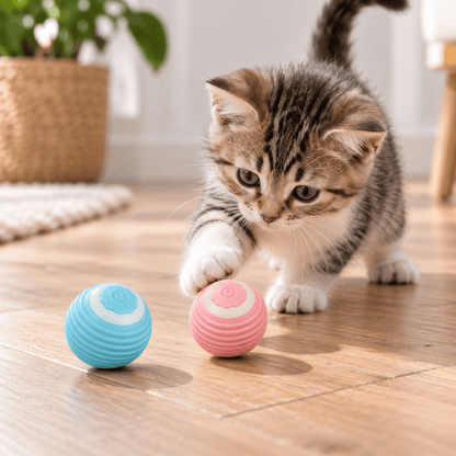 Jouet Chat Balle Magique Interactive