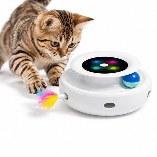 Jouet Chat Rojeco Interactif 2 en 1