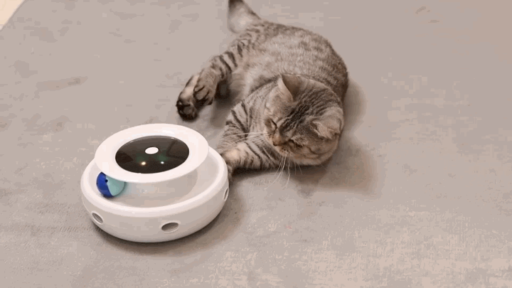 Jouet Chat Rojeco Interactif 2 en 1