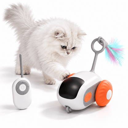 Jouet Chat Voiture Interactive