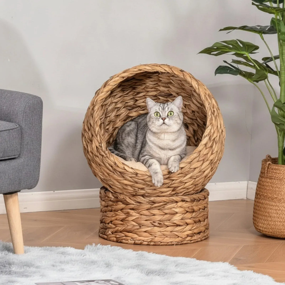 Panier Chat Rond en rotin