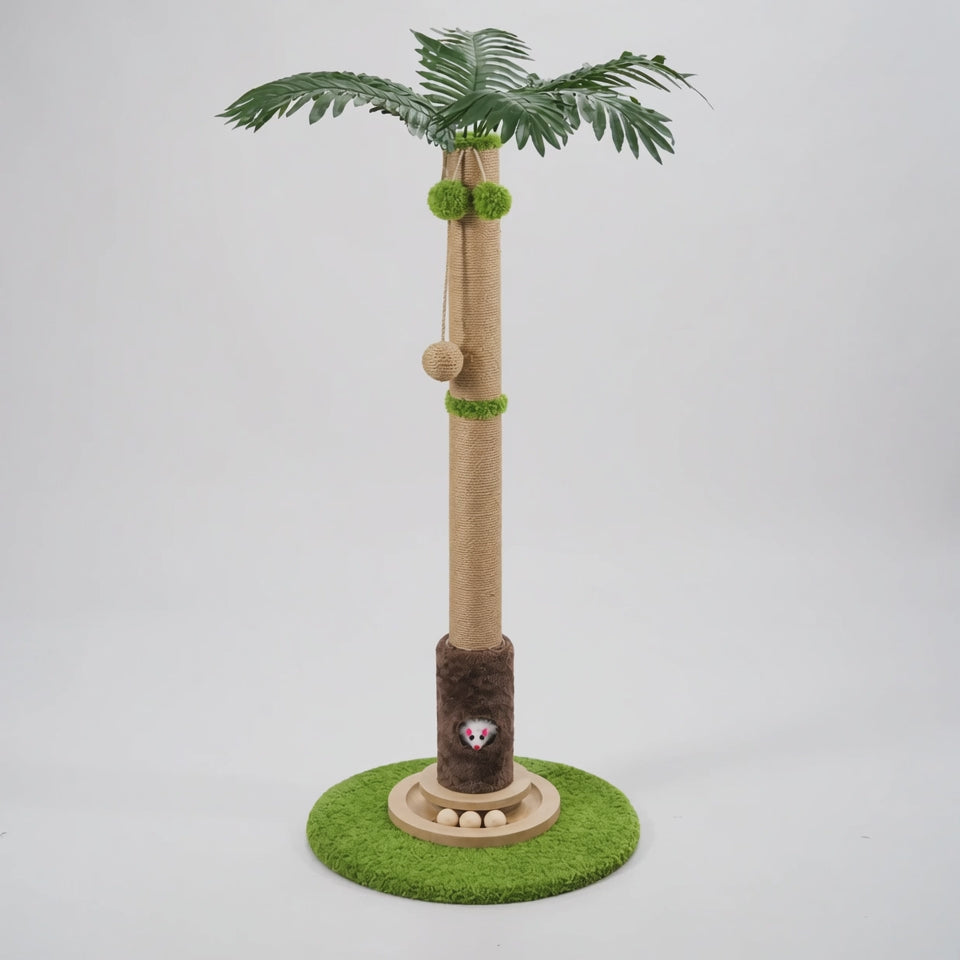 Vidéo du griffoir chat palmier Oasis sur fond studio blanc